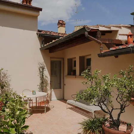 Clara - Terrace Among Lemon Trees